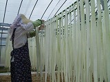 かんぴょうほし かんぴょうほし