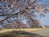 国指定史跡 下野国分寺跡・尼寺跡-1