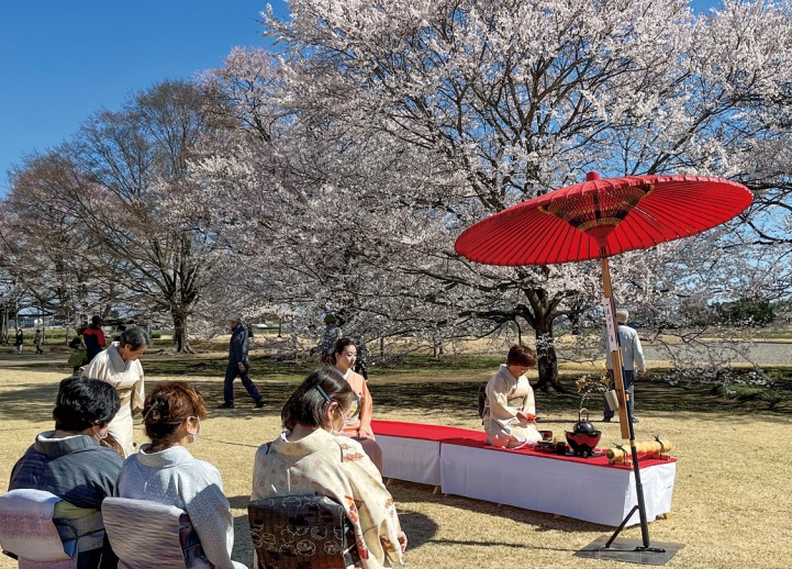 下野市のイベント_天平の桜歌会