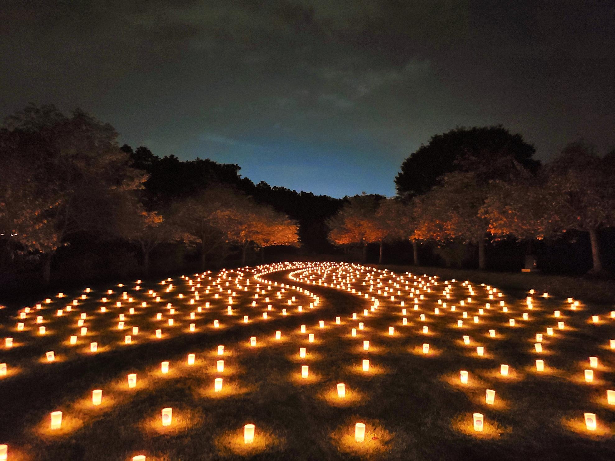 燈桜会