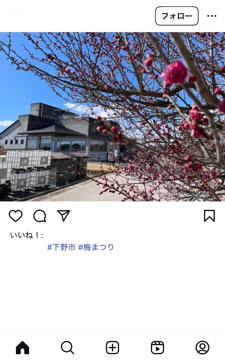 SNS投稿例