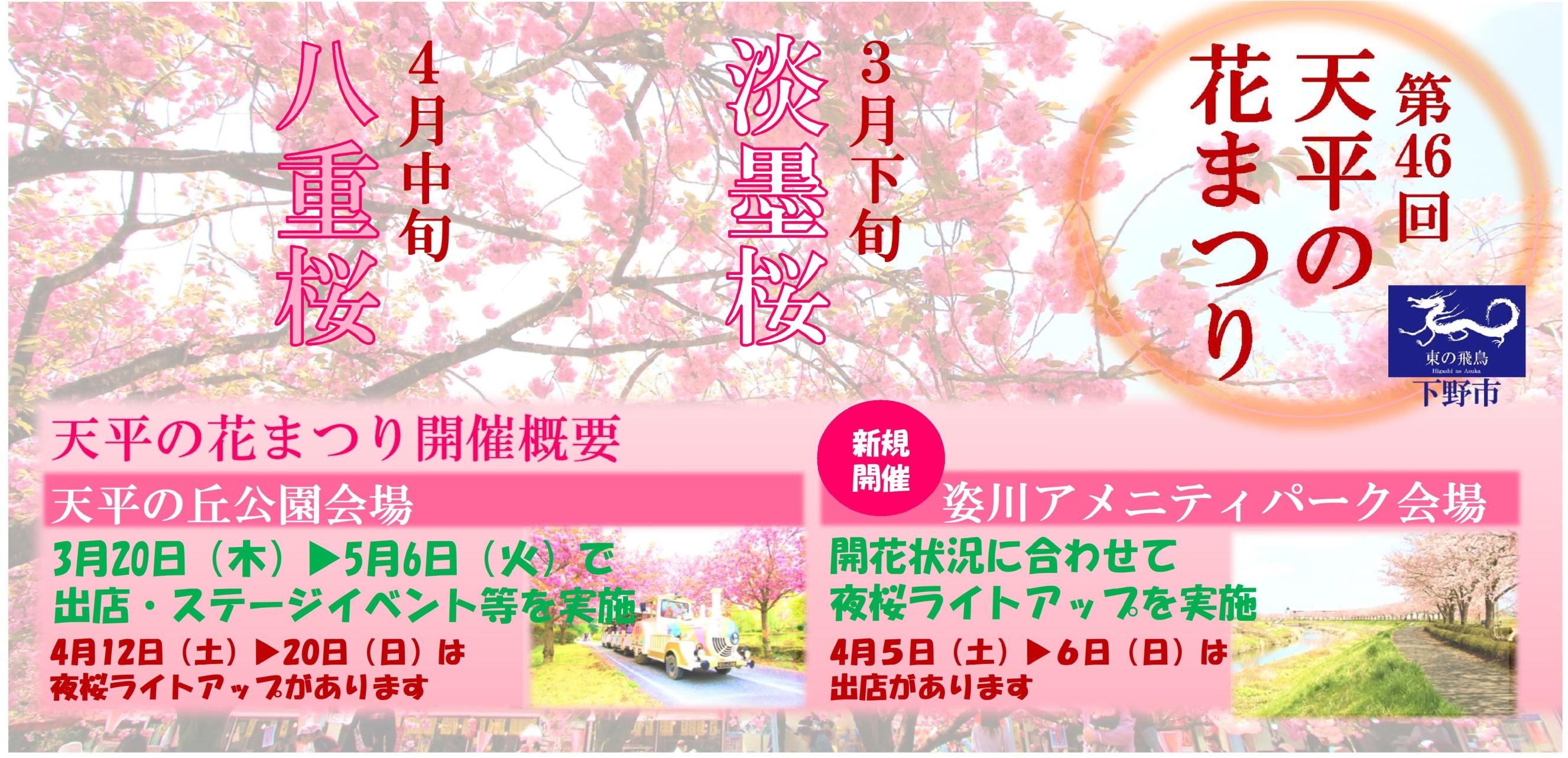 第46回天平の花まつり