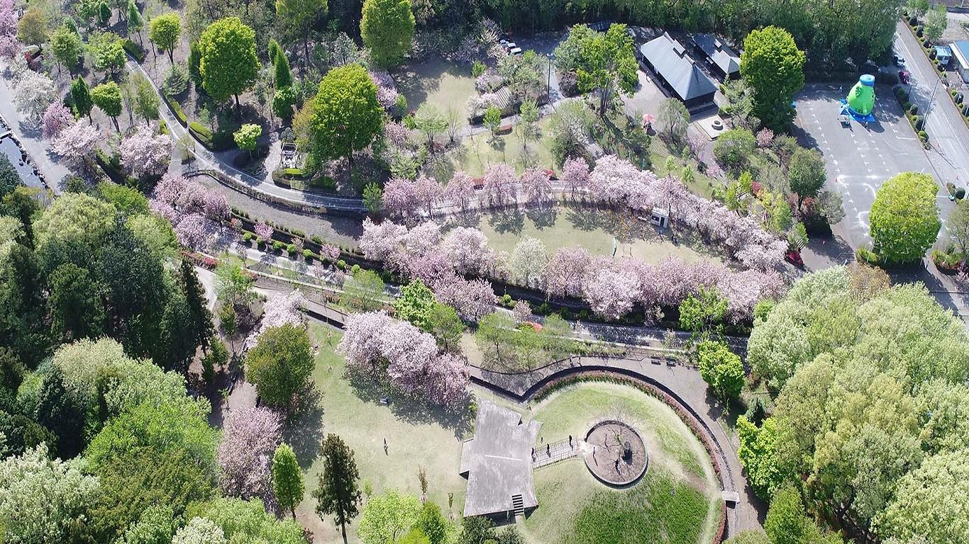 天平の花まつり