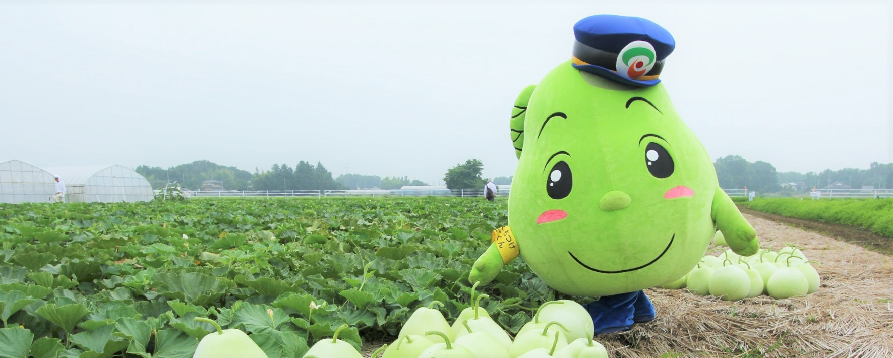 下野市が生産量日本一の「かんぴょう」とカンピくん